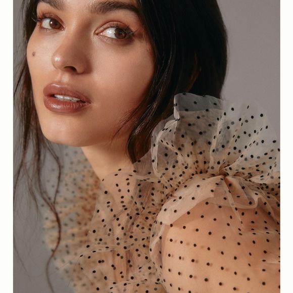 Anthropologie neutral top with sheer sleeves - Picture 4 of 7